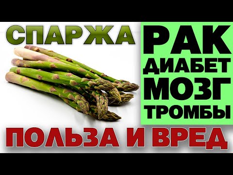 Видео: СПАРЖА - ПОЛЬЗА И ВРЕД (АСПАРАГУС ДЕЛИКАТЕС ДЛЯ АРИСТОКРАТОВ. ПРИЗНАННЫЙ АФРОДИЗИАК)