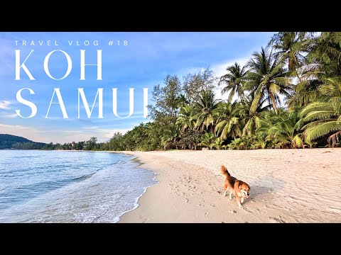 Видео: Видеоблог о путешествиях по Самуи | Исследуйте Таиланд в формате 4K, тур по острову Самуи, пляжи