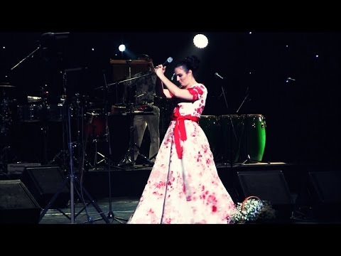 Видео: Елена Ваенга. БКЗ Октябрьский. 28.01.2015. Второе отделение.