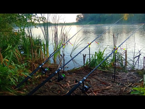 Видео: ГАРНІ ЛАПТІ КЛЮЮТЬ ПІД НОГАМИ. Рибалка на кормачки