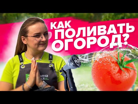Видео: ПОЛИВАЙТЕ ПРАВИЛЬНО! ЭТИ КУЛЬТУРЫ НЕ ТЕРПЯТ ХОЛОДНУЮ ВОДУ!