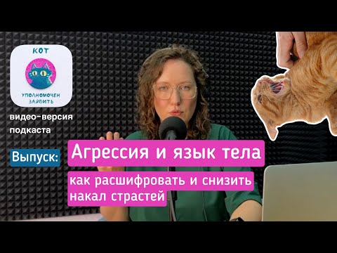 Видео: Агрессия и язык тела. Как расшифровать и снизить накал страстей