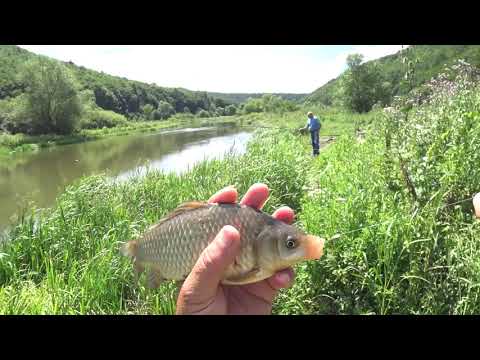 Видео: Риболовля на річці Серет