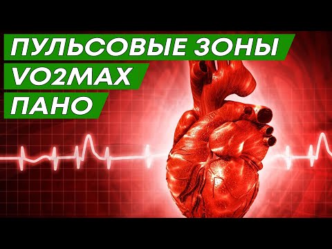 Видео: Пульсовые зоны. Аэроб и анаэроб. Пано. МПК (VO2 MAX)