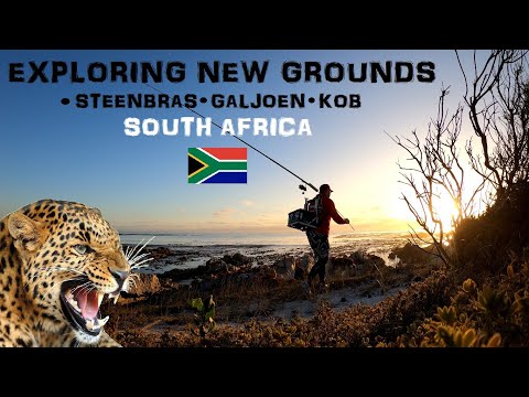 Видео: РЫБАЛКА НА НОВЫХ МЕСТАХ