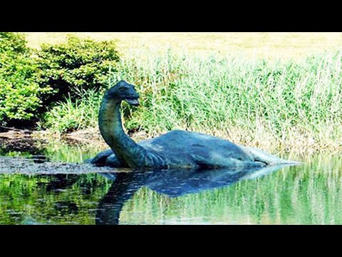 Видео: Чёрт в озере Лыбынкыр. Оно скрывается в якутском озере.