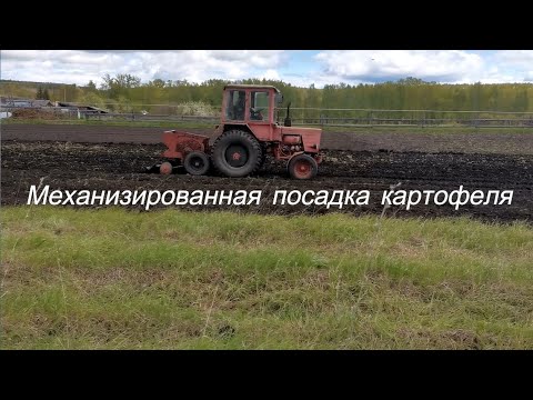 Видео: Механизированная посадка картофеля
