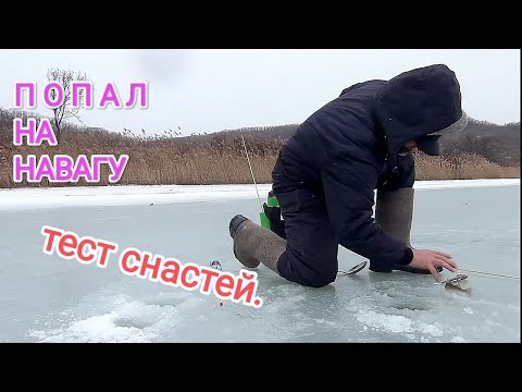 Видео: Зимняя рыбалка в Приморье. Попал на клёв наваги.ловля наваги Приморье. блесна на навагу.