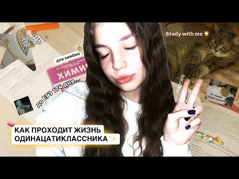 Видео: STUDY WITH ME VLOG: КАК ПРОХОДИТ ДЕНЬ ОДИНАДЦАТИКЛАССНИКА? | день химбио | подготовка к ЕГЭ