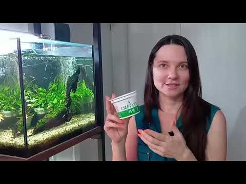 Видео: Аквариумные растения на земле / как высаживать в горшочки