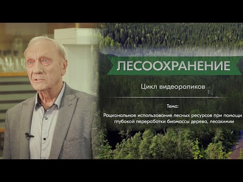 Видео: Рощин В.И.: рациональное использование лесных ресурсов - глубокая переработка биомассы дерева
