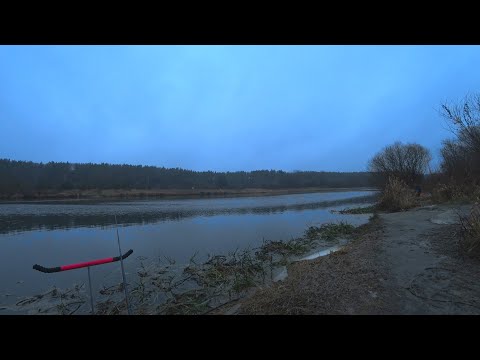 Видео: ВЕРНУЛСЯ ДОМОЙ!!||СКИДКА 10% ДЛЯ ВСЕХ!!||РЫБАЛКА НА ФИДЕР В ДЕКАБРЕ 2021
