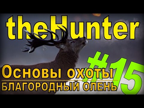 Видео: the Hunter - Благородный олень [Основы охоты] #15