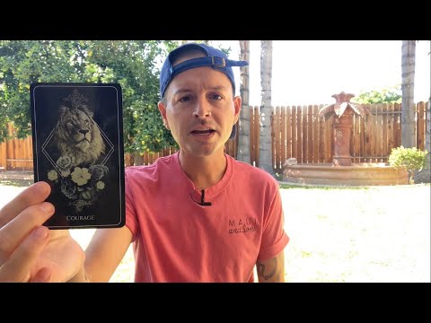 Видео: Ежедневное таро — вы совершенно правы! Хотеть большего — это нормально.