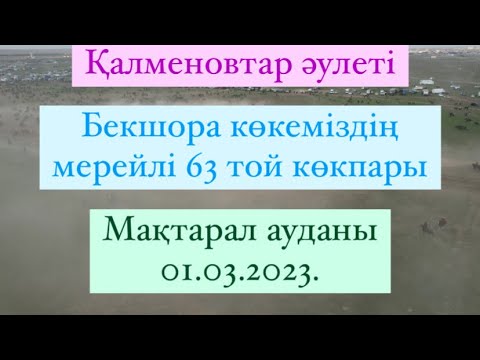 Видео: Қалменовтар әулеті Бекшора көкеміздің мерейлі 63 жас той көкпары Мақтарал ауданы 01 03 2023
