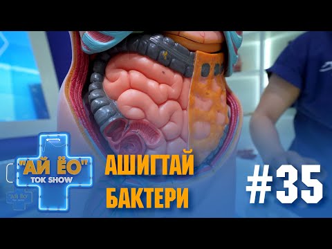 Видео: Ашигтай бактери