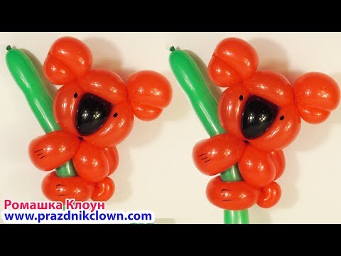 Видео: КОАЛА ИЗ ШАРОВ мишка из шариков КАК СДЕЛАТЬ Balloon Animal Koala DIY