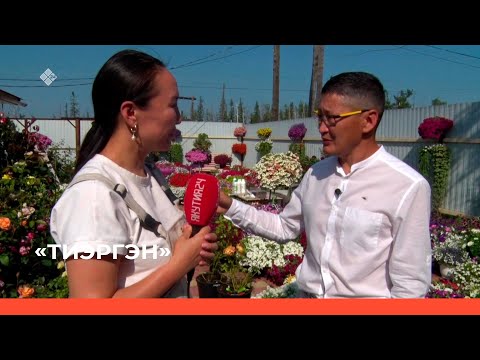 Видео: «Тиэргэн» биэриигэ: Афанасий Семенов тиэргэнигэр ыалдьыттаатыбыт. 2 чааһа  (23.08.23)