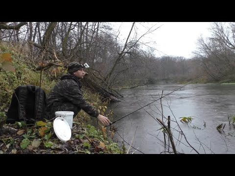 Видео: ПЕРВАЯ РЫБАЛКА НА ДОНКУ В НОЯБРЕ НА РЕКЕ.