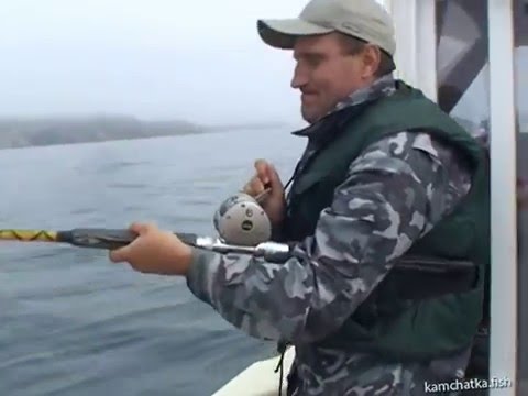 Видео: Рыбалка на палтуса. Тихий океан. Камчатка