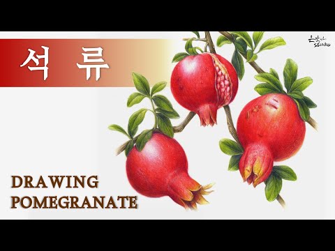 Видео: [Фрукты-овощи] Рисуем гранат цветными карандашами | Класс раскраски № 106-2