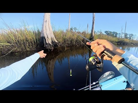 Видео: Покоряем новые места на королевском течении | Ловля на джиг в ручье с Gulp!