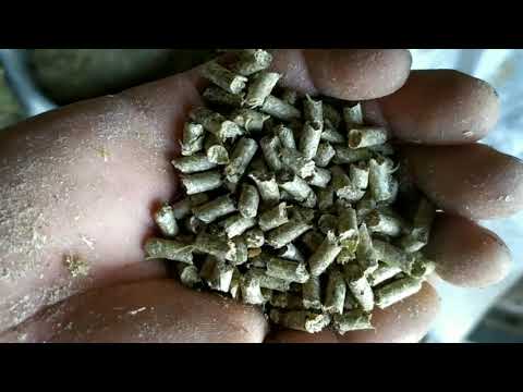 Видео: Что изменилось в моем опыте и поведении свиней,после появления гранулятора.Толк с гранул.