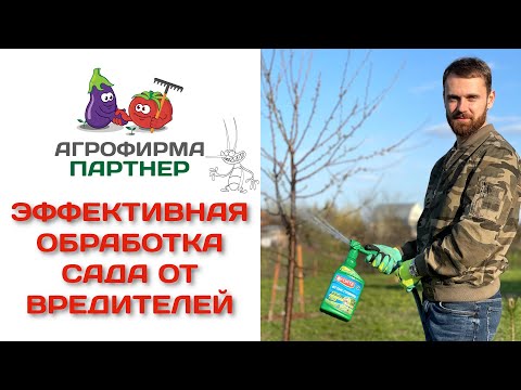 Видео: Эффективная обработка сада от вредителей