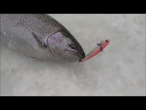 Видео: Не столько важна приманка, как её игра. Клёвое место, Лосиный остров, спорт-зона.