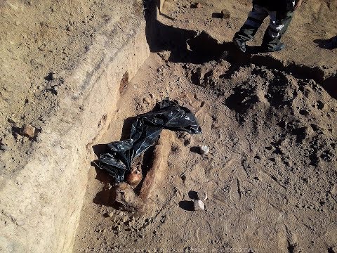 Видео: Кривощёково - Новосибирск. 400 лет истории??? Полное видео!