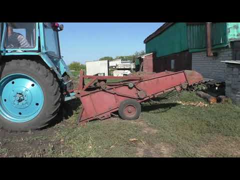 Видео: ТРАКТОРИСТ НА МТЗ-80 ВЫКАПЫВАЕТ КАРТОШКУ В ПОЛЕ!)