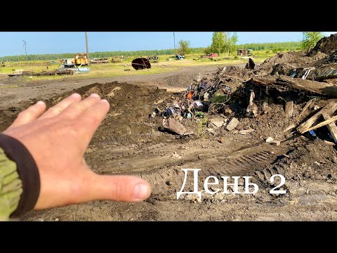 Видео: Древнее животное на пустыре 😳 Раскопки Мамонта в городе Нюрба день второй