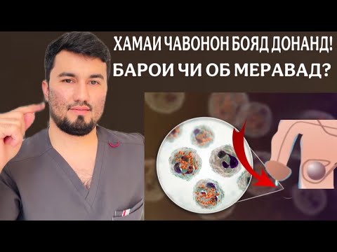 Видео: Агар ба саволхои худ чавоб гирифтан хохен, хатман наворро бубинед