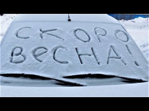 Видео: Скоро весна! Я знаю точно - растает лед..
