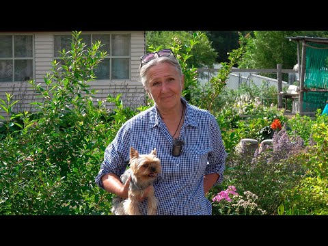 Видео: «В гостях уДачи». Лариса Зарубина