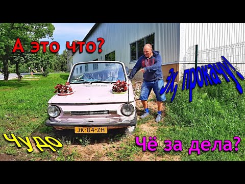 Видео: 138. Прогулка в самый центр Эстонии. Приют старой техники. Здесь есть всё! 4К.