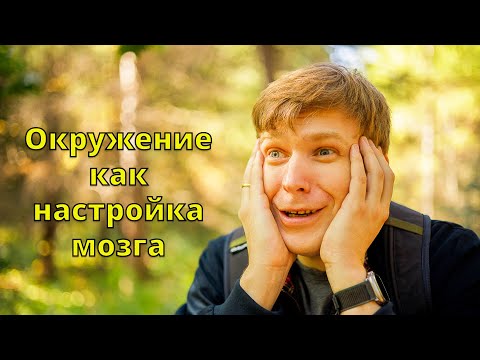 Видео: Ваше окружение управляет вашим мозгом. Вот как это работает (и как это остановить)