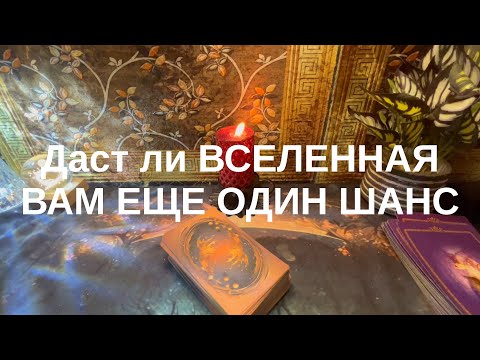 Видео: 10 ноября 2025 г.