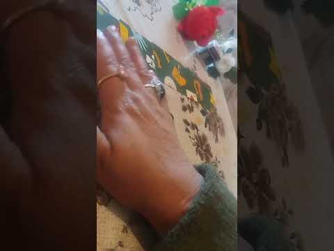 Видео: Хинд фоли тел 998508860639