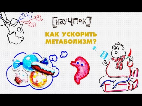 Видео: Как ускорить метаболизм? — Научпок