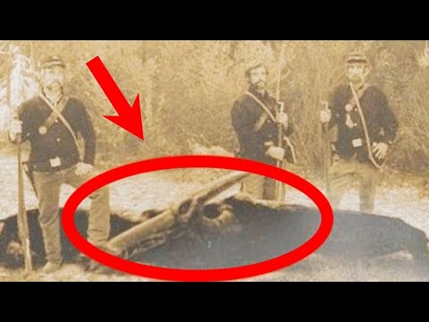 Видео: Доказательство Того, Что Динозавры и Люди Жили в Одно и то же Время