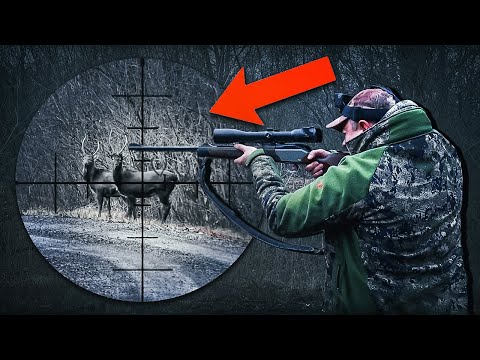 Видео: Охота на потрясающей реке Волга! Собаки гонят оленей прямо на меня.