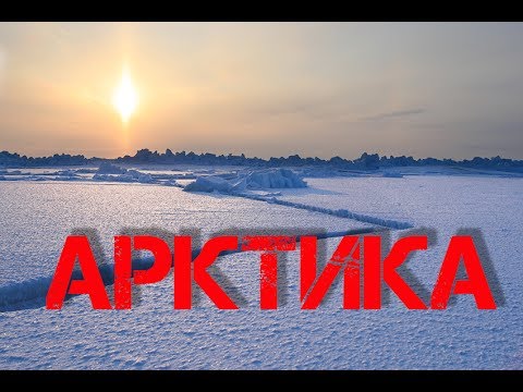 Видео: Желтая палатка (Арктика 2010)