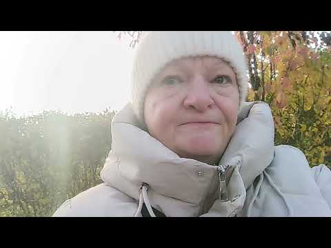 Видео: Какой прекрасный день