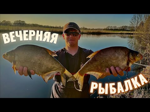 Видео: Вечерняя рыбалка на Айдере!! Ловлю леща флет-фидером в тишине весны🙌