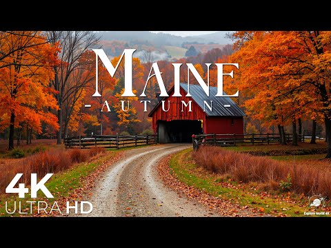 Видео: 🍂Мэн осенью 4K — самое красивое осеннее видео в штате Мэн в формате 4K UHD🍂