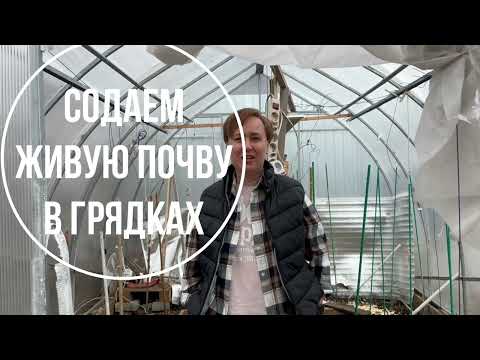 Видео: как готовить почву  в теплице для хороших урожаев. Поливочные ямы,  опилки. Начинающим огородникам.