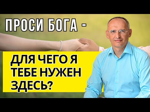 Видео: Проси Бога: - Для чего я тебе нужен здесь? Торсунов лекции