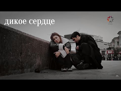 Видео: Seyran & Ferit//Дикое сердце