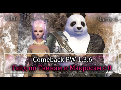 Видео: Макросы, твины с 0 без доната! Все о твиноводстве и о макросах в Perfect World на Comeback PW 1.3.6